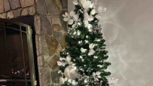 professional christmas light installation nyc